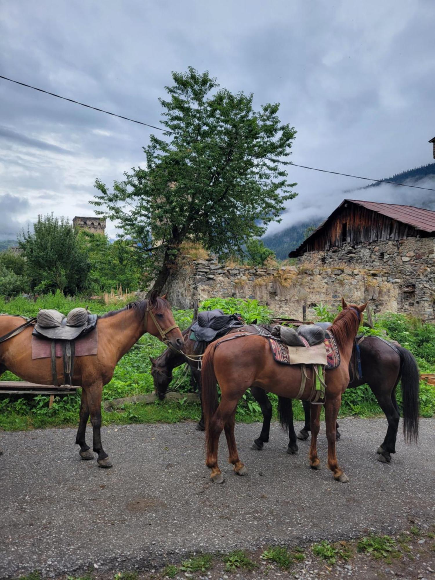 Ailama Guesthouse Mestia Exteriér fotografie